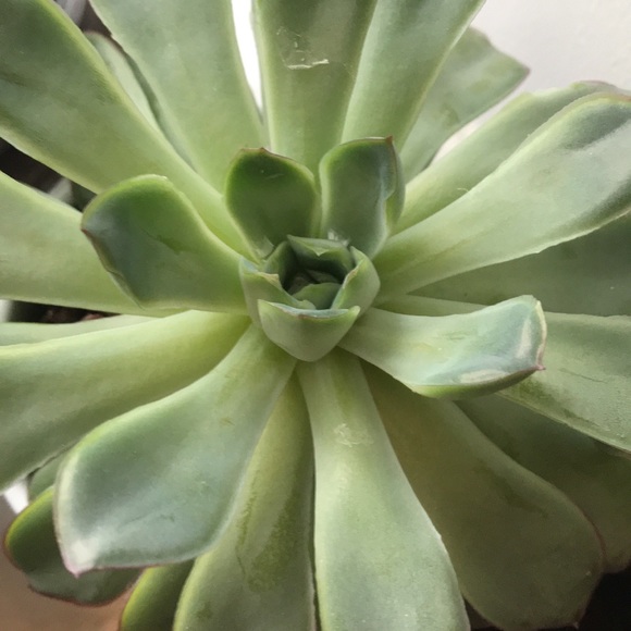 Meet your Posher, Maureen - Picture 1 of 1